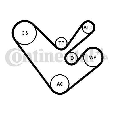 Drivremsats Contitech 6PK1555K4 CONTITECH