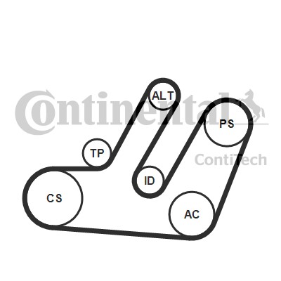 Drivremsats Contitech 6PK1580K1 CONTITECH