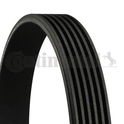 Drivrem Contitech 6PK2550 CONTITECH Drivrem Contitech 6PK2550 CONTITECH