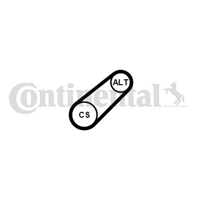 Drivrem Contitech 6PK799 ELAST CONTITECH