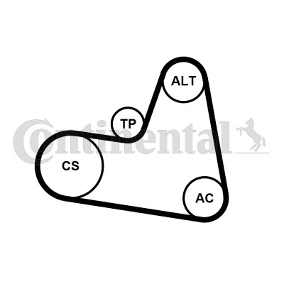 Drivremsats Contitech 6PK962K1 CONTITECH