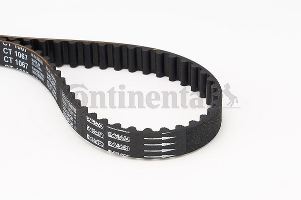 Kamrem Contitech CT1067 CONTITECH Kamrem Contitech CT1067 CONTITECH