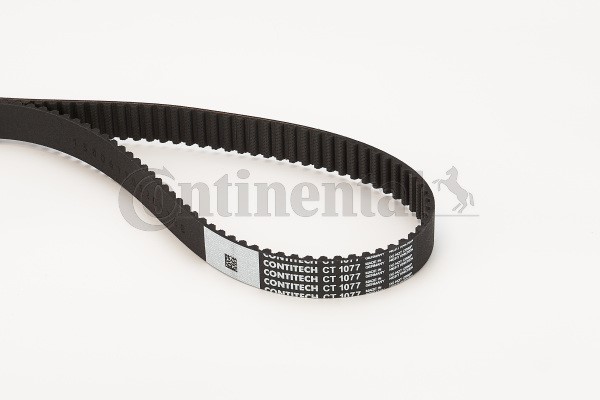 Kamrem Contitech CT1077 CONTITECH