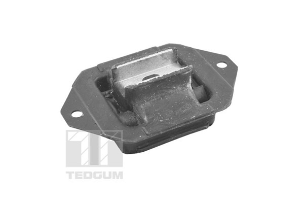 Montering, automatväxelbärare, Bak Tedgum 00221234 TEDGUM