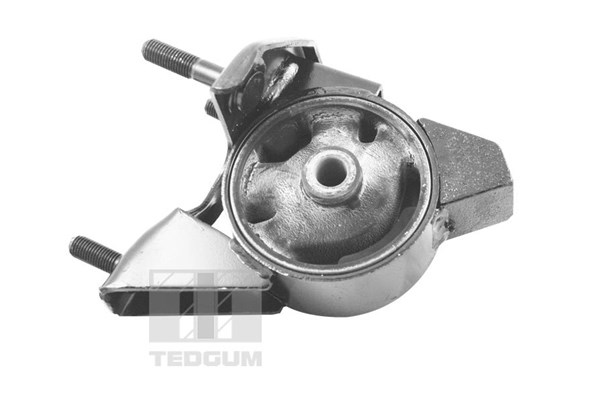 Motorkudde, Bak Tedgum 00672186 TEDGUM