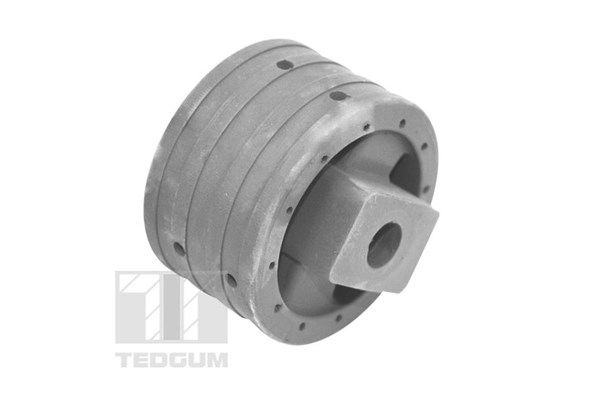 Motorkudde, Bak Tedgum 00741004 TEDGUM