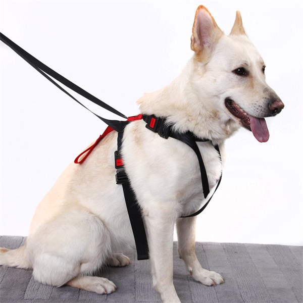 Säkerhetsbälte till Hund - Small, Universal Artfex Säkerhetsbälte till Hund - Small, Universal Artfex