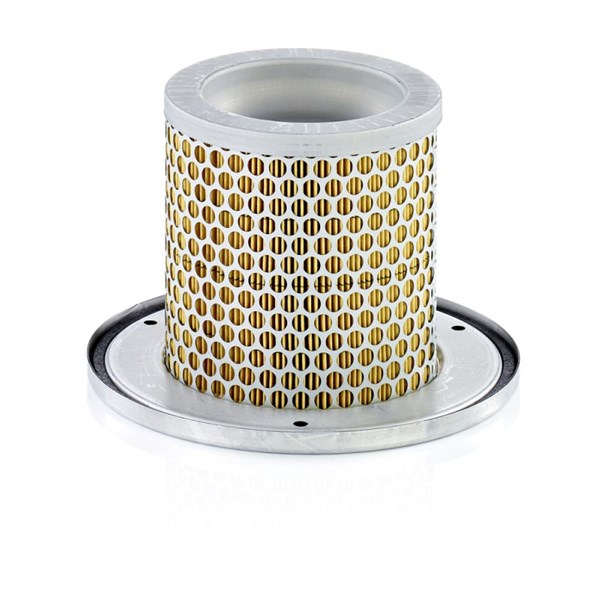 Sekundärluftfilter Mann-filter C 1342 KIT MANN-FILTER