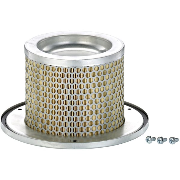 Sekundärluftfilter Mann-filter C 1374/2 KIT MANN-FILTER