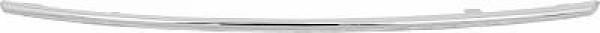 Prydnads- / Skyddslist, stötfångare, Vänster fram Diederichs 1617 DIEDERICHS Prydnads- / Skyddslist, stötfångare, Vänster fram Diederichs 1617 DIEDERICHS