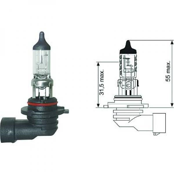 Halogenlampa DIEDERICHS H10 PY20d 12V Diederichs LID10037 DIEDERICHS