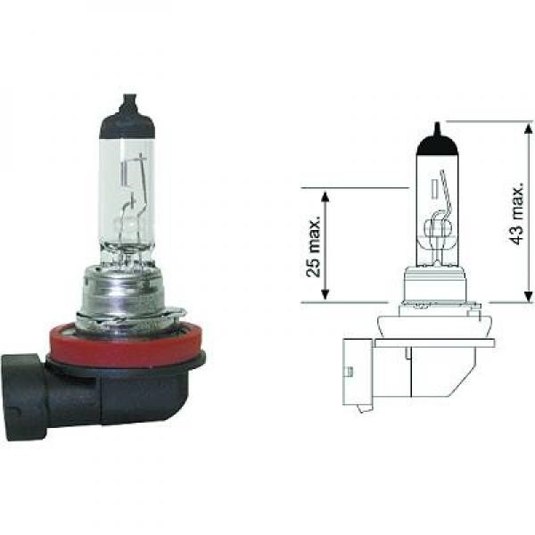 Halogenlampa DIEDERICHS Long Life H11 PGJ19-2 Diederichs LID10040 DIEDERICHS