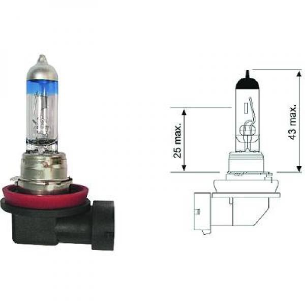 Halogenlampa DIEDERICHS More Light +120% H11 PGJ19-2 Diederichs L DIEDERICHS