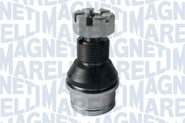 Fästskruvar, länkarm Magneti marelli 301181312050 MAGNETI MARELLI