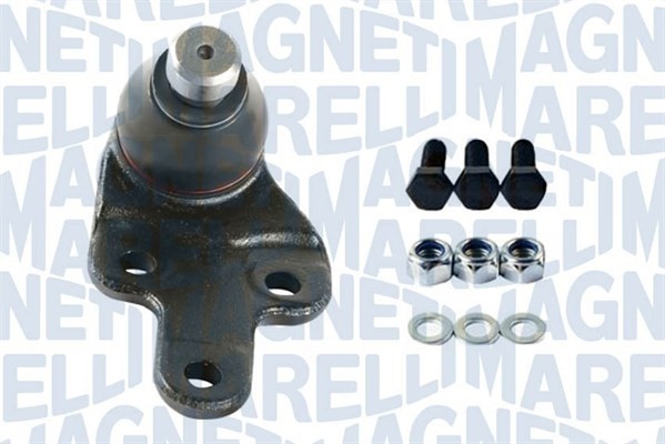 Fästskruvar, länkarm Magneti marelli 301191618440 MAGNETI MARELLI