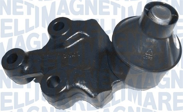 Fästskruvar, länkarm Magneti marelli 301191618670 MAGNETI MARELLI