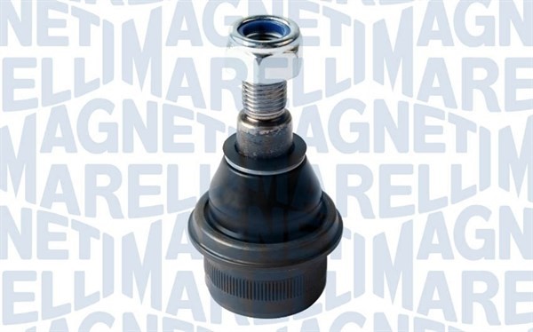 Fästskruvar, länkarm Magneti marelli 301191618910 MAGNETI MARELLI Fästskruvar, länkarm Magneti marelli 301191618910 MAGNETI MARELLI