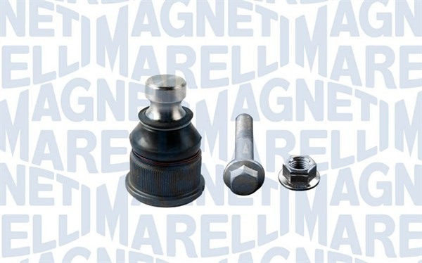 Fästskruvar, länkarm Magneti marelli 301191619490 MAGNETI MARELLI