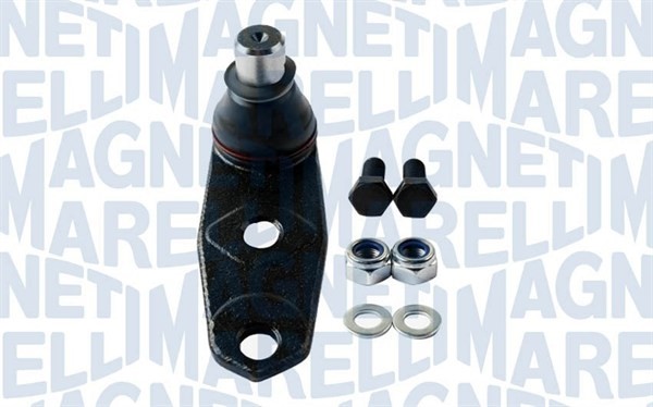 Fästskruvar, länkarm Magneti marelli 301191619570 MAGNETI MARELLI