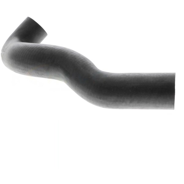 Kylarslang