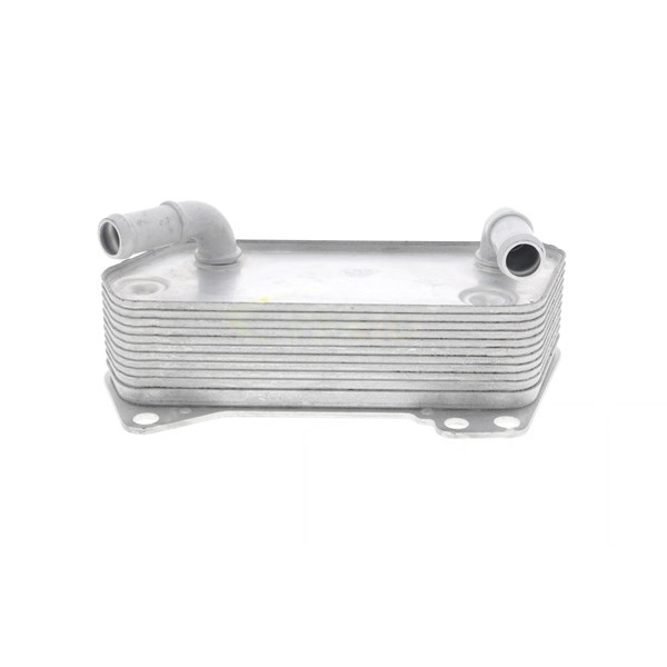 Oljekylare, motor