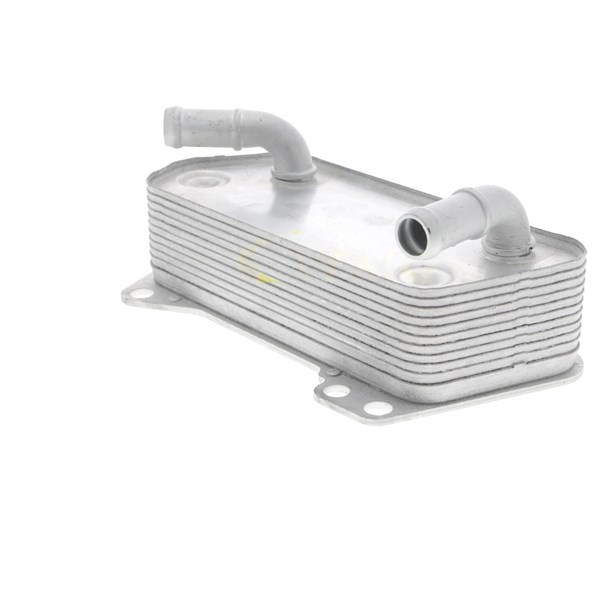 Oljekylare, motor
