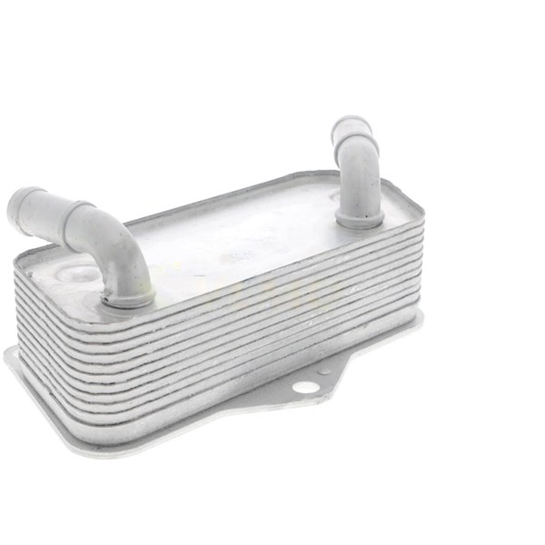Oljekylare, motor
