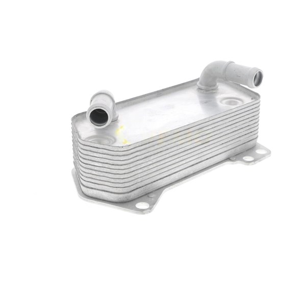 Oljekylare, motor