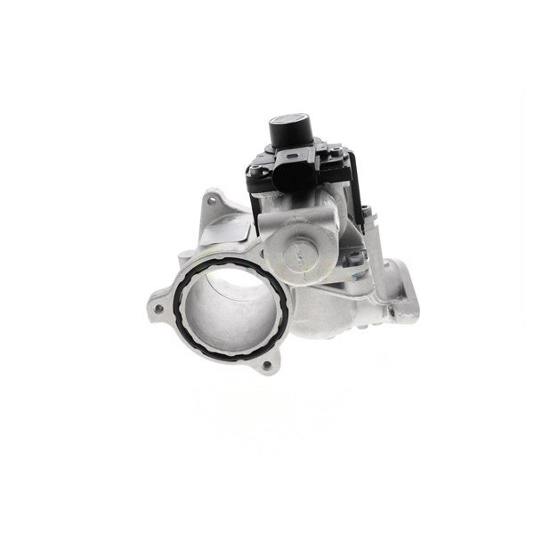 EGR-modul 12V