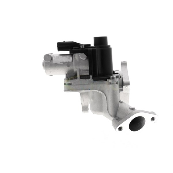 EGR-modul 12V