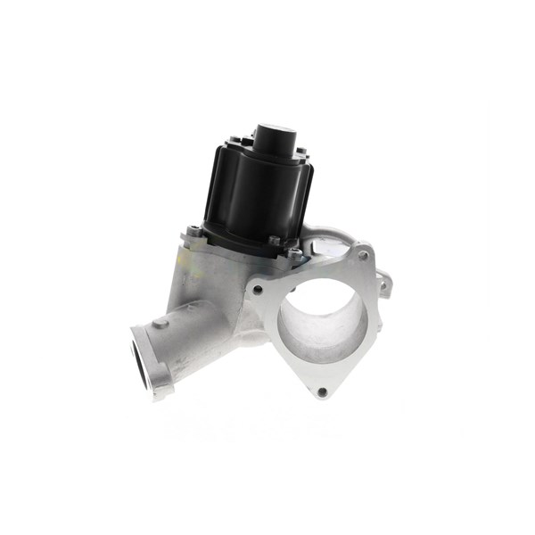 EGR-modul 12V