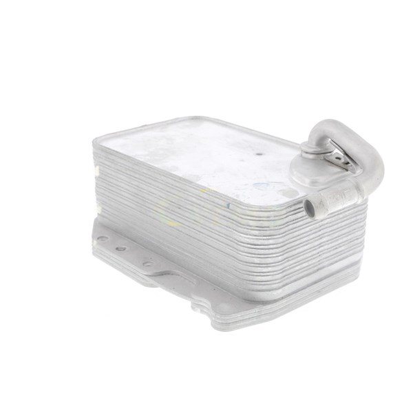Oljekylare, motor