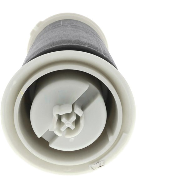 Luftfjäderben, Bakaxel, båda sidor Vemo V20-50-0007 VEMO