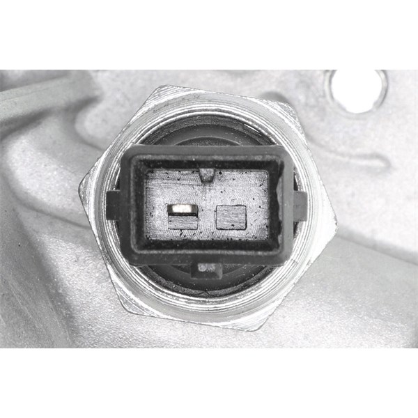 Oljekylare, motor