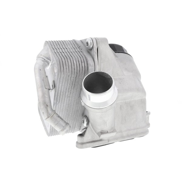 Oljekylare, motor