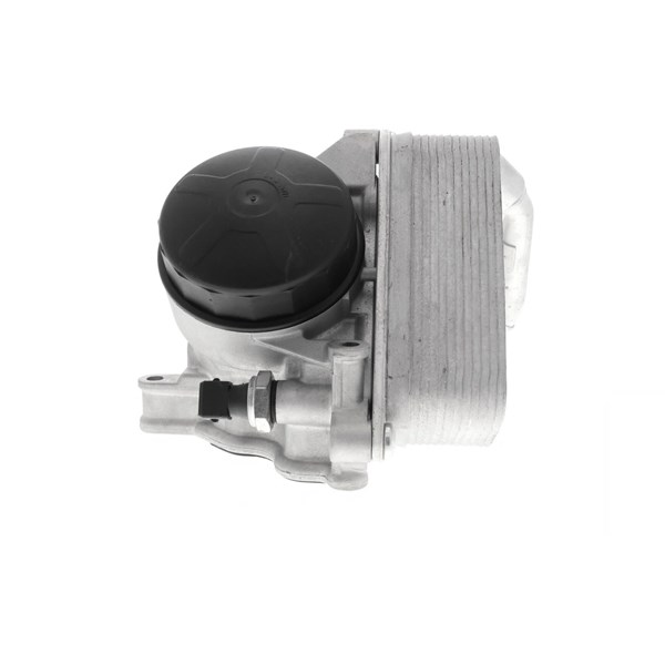 Oljekylare, motor