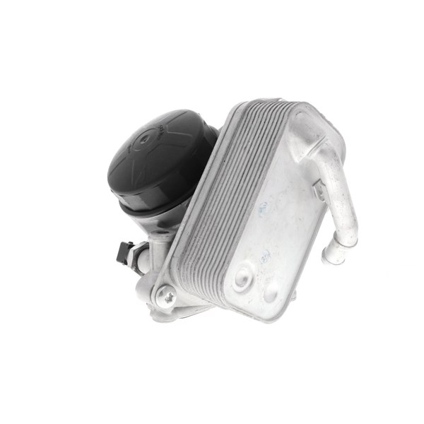 Oljekylare, motor