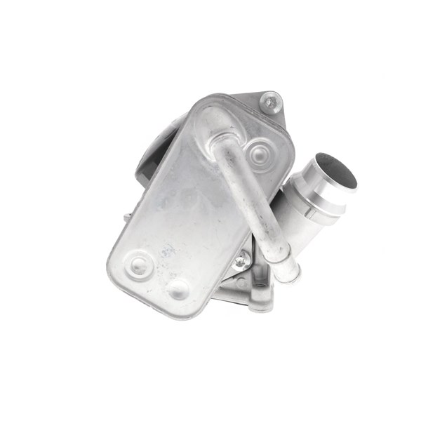 Oljekylare, motor
