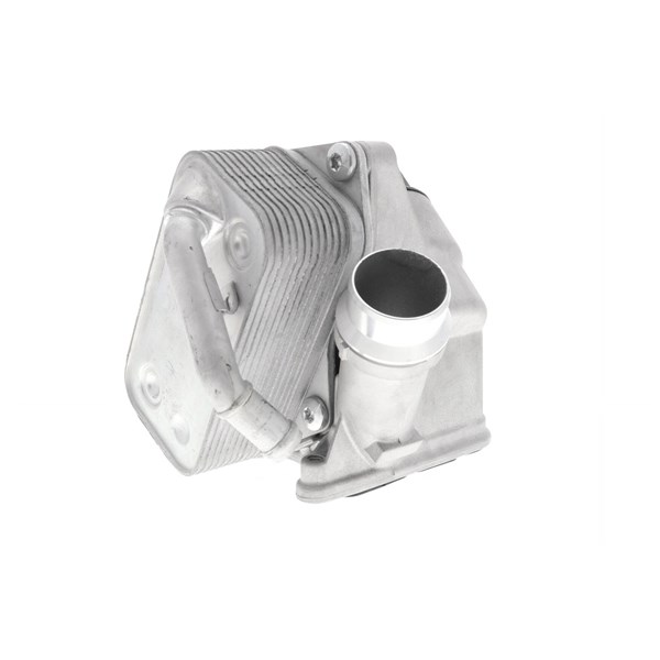 Oljekylare, motor