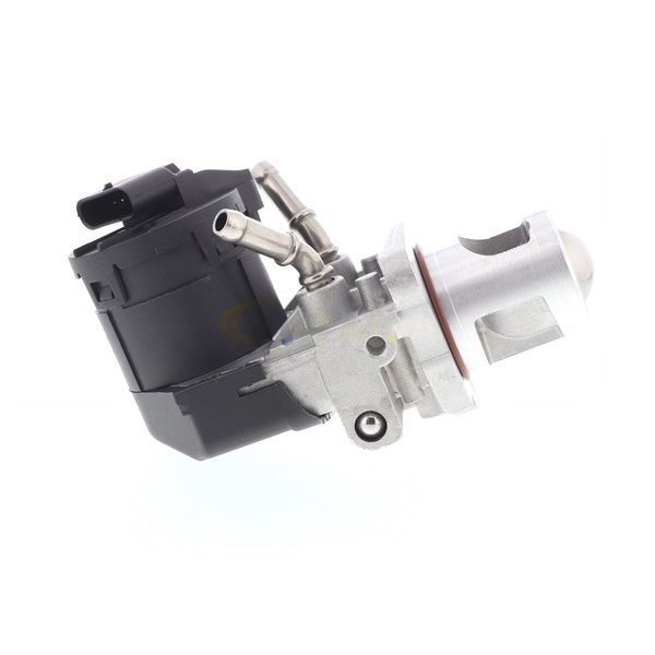 Egr-ventil 12V Vemo Original vemo quality V20-63-0012-1 VEMO