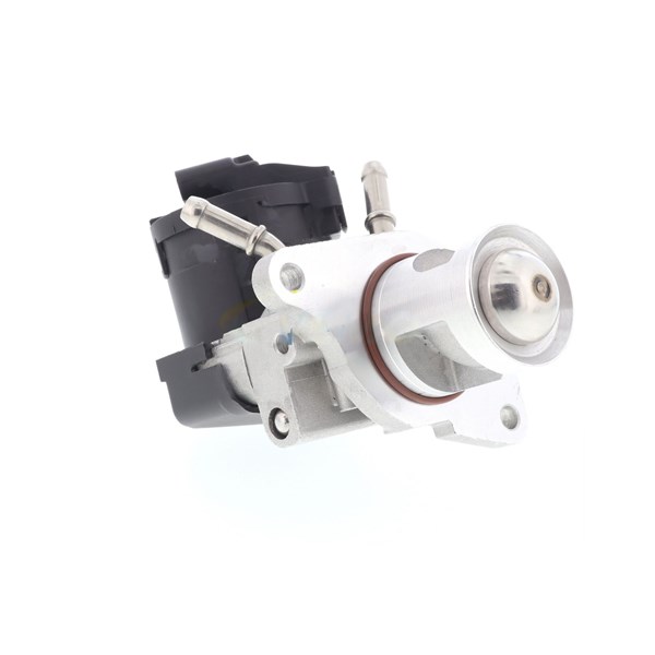 Egr-ventil 12V Vemo Original vemo quality V20-63-0012-1 VEMO