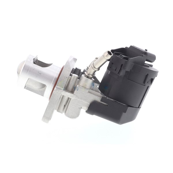 Egr-ventil 12V Vemo Original vemo quality V20-63-0012-1 VEMO
