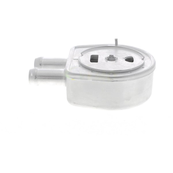 Oljekylare, motor