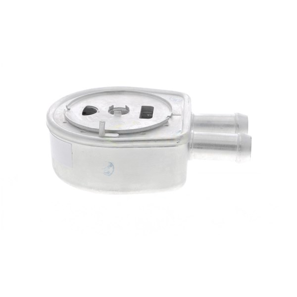 Oljekylare, motor