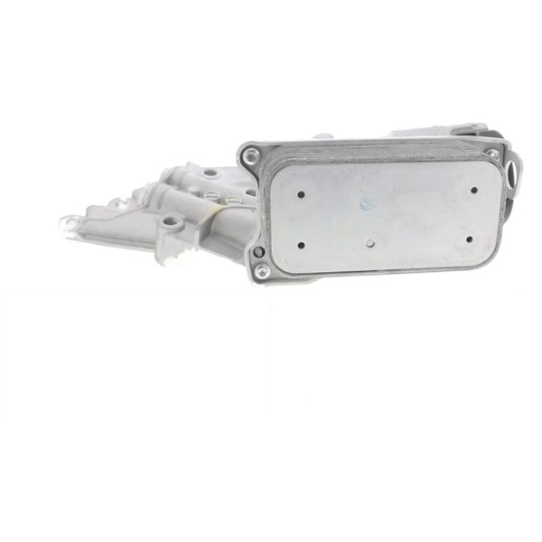 Oljekylare, motor