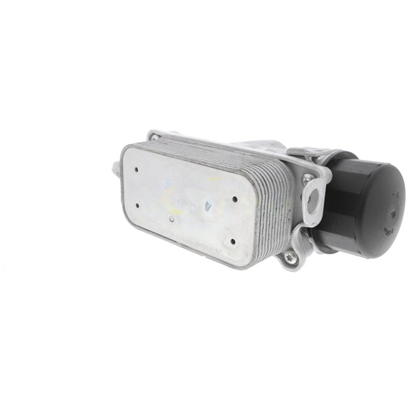 Oljekylare, motor