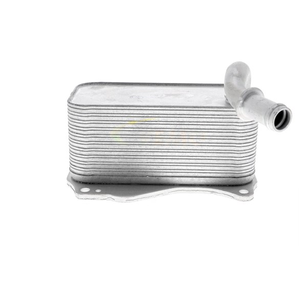 Oljekylare, motor