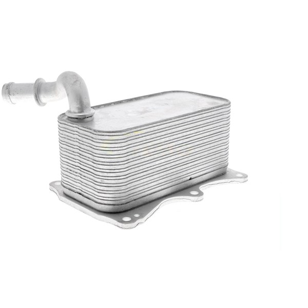 Oljekylare, motor