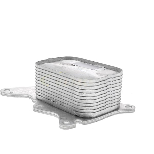 Oljekylare, motor