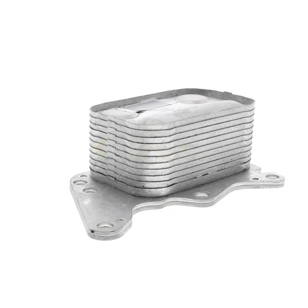Oljekylare, motor